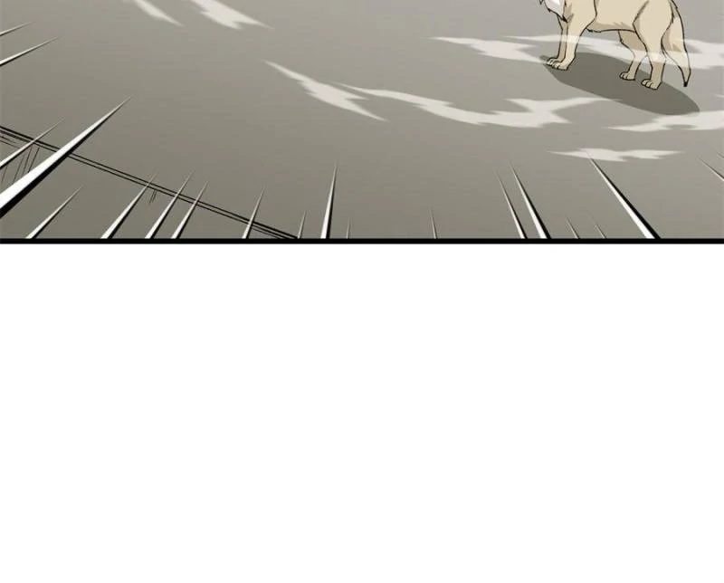 81492460 800 644 17320